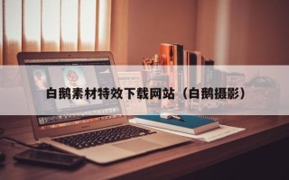 北流白鹅素材特效下载网站（白鹅摄影）